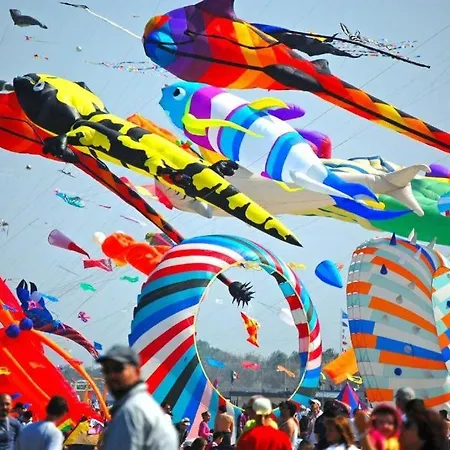 Mare Di Fronte E Pineta * チェルヴィア