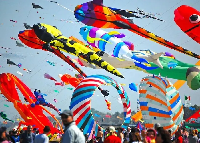 Mare Di Fronte E Pineta * Cervia